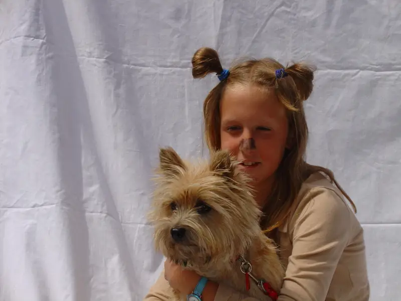 Ein Mädchen, das einen Hund in den Armen hält. – Jugend und Hund Lager 2003 in Lenzerheide