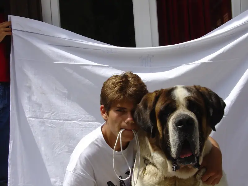 Ein Junge hält einen Hund. – Jugend und Hund Lager 2003 in Lenzerheide