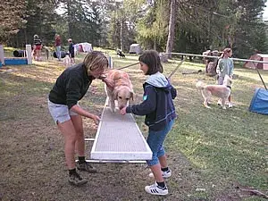 Eine Frau und ein Kind spielen mit einem Hund. – Jugend und Hund Lager 2003 in Lenzerheide