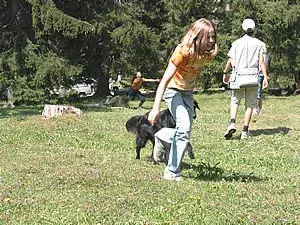 Eine Frau und ein Hund spielen auf einem Feld. – Jugend und Hund Lager 2003 in Lenzerheide