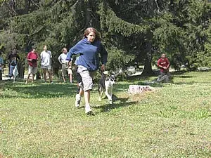 Gruppen von Menschen, die ein Spiel spielen. – Jugend und Hund Lager 2003 in Lenzerheide