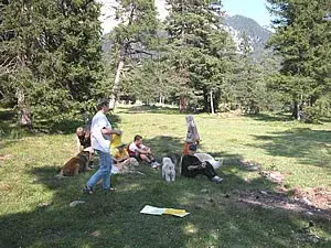 Eine Gruppe von Menschen, die auf einem Hügel sitzen. – Jugend und Hund Lager 2003 in Lenzerheide