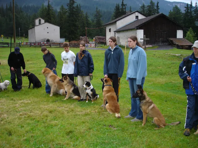 Eine Gruppe von Menschen, die auf einem Feld mit Hunden stehen. – Jugend und Hund Lager 2004 in Lenzerheide