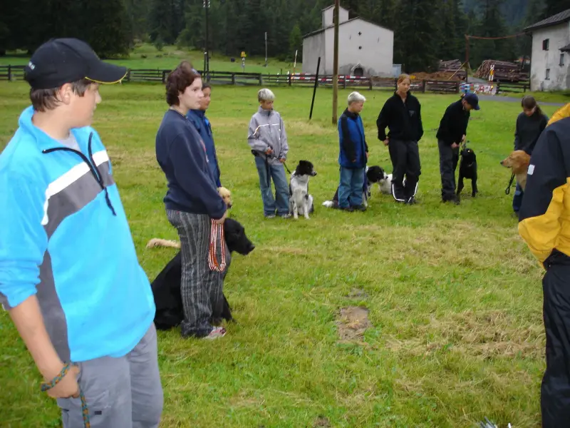 Eine Gruppe von Menschen, die auf einem Feld stehen. – Jugend und Hund Lager 2004 in Lenzerheide