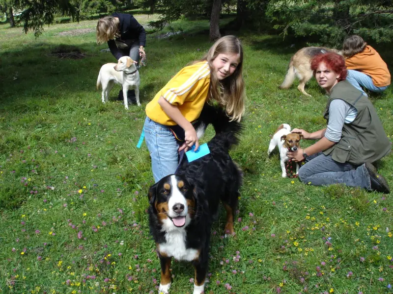 Eine Gruppe von Kindern und einem Hund auf einem Feld. – Jugend und Hund Lager 2004 in Lenzerheide