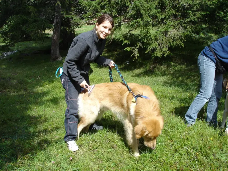 Eine Frau läuft einen Hund im Gras. – Jugend und Hund Lager 2004 in Lenzerheide