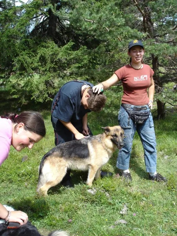 Eine Frau und ein Mann spielen mit einem Hund. – Jugend und Hund Lager 2004 in Lenzerheide