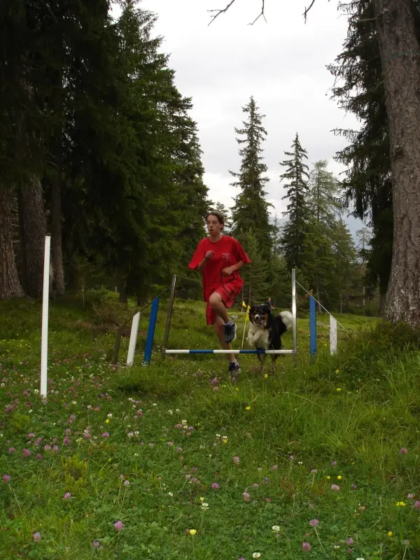 Ein Mann spielt mit einem Hund auf einem Feld. – Jugend und Hund Lager 2004 in Lenzerheide