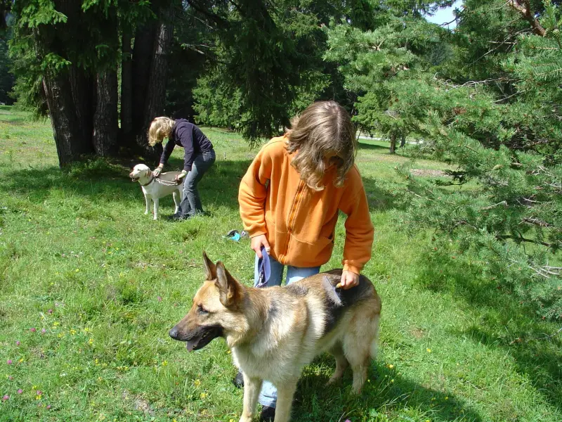Eine Frau geht mit einem Hund auf einem Feld. – Jugend und Hund Lager 2004 in Lenzerheide
