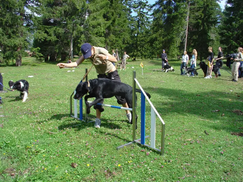 Ein Mann springt mit einem Hund über eine Hürde. – Jugend und Hund Lager 2004 in Lenzerheide