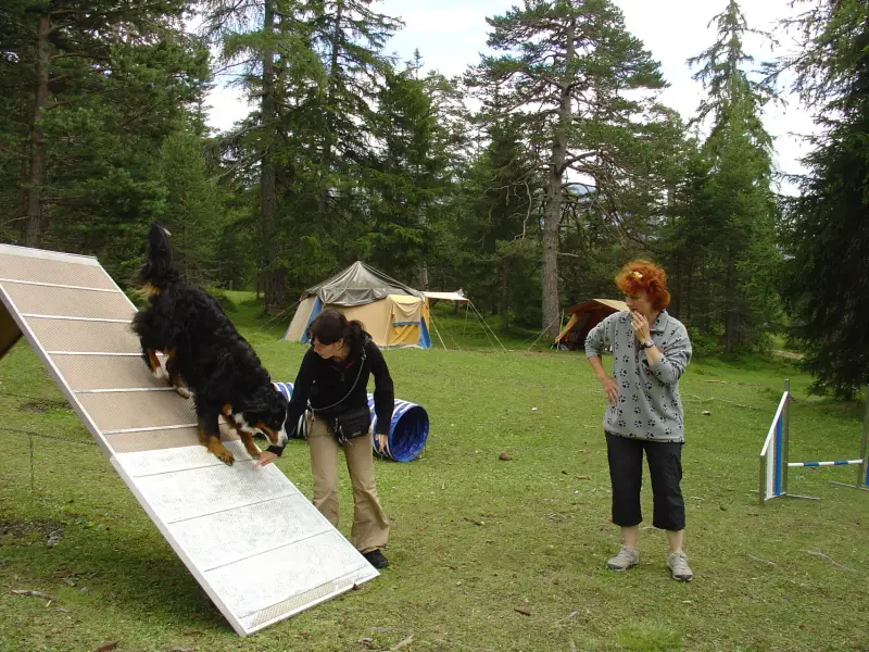 Eine Frau und ein Hund spielen mit einer Rampe. – Jugend und Hund Lager 2004 in Lenzerheide