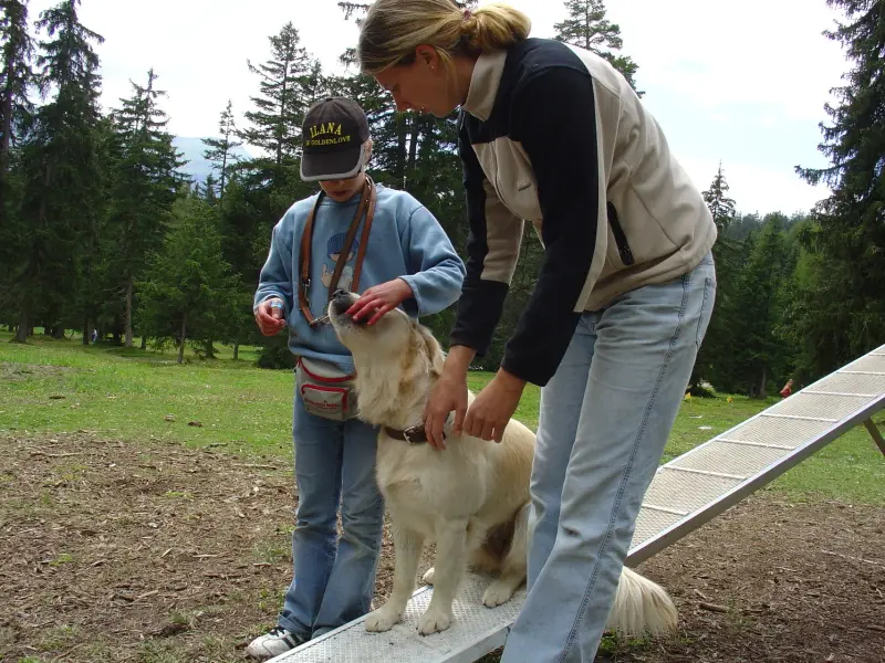 Ein haustier ein hundetier. – Jugend und Hund Lager 2004 in Lenzerheide