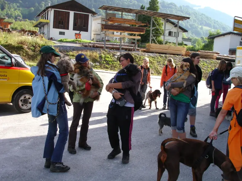 Eine Gruppe von Menschen, die ihre Hunde eine Strasse entlang gehen, mit einem Auto… Rassen: Redbone Coonhound, Mittelschnauzer, Dobermann. – Jugend und Hund Lager 2009 in Ruen
