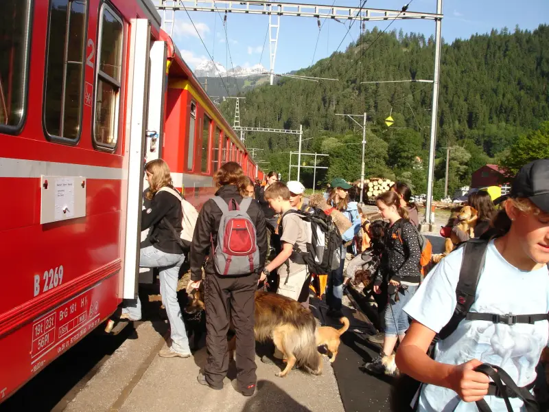Eine Gruppe von Menschen, die neben einem roten Zug auf einer Bahnstrecke stehen. Rasse: Leonberger. – Jugend und Hund Lager 2009 in Ruen