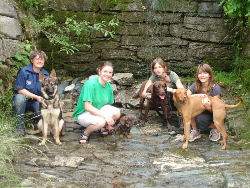 Eine Gruppe von vier Personen, die auf einem… Rassen: Deutscher Schäferhund, Vizsla, Chesapeake Bay Retriever, Black-and-Tan Coonhound. – Jugend und Hund Lager 2009 in Ruen