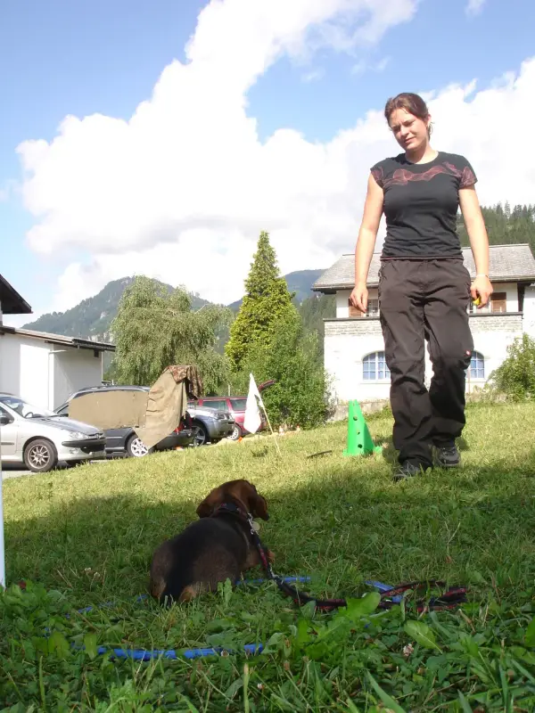 Eine Frau, die einen Hund an einer Leine im Gras läuft. Rasse: Basset Hound. – Jugend und Hund Lager 2009 in Ruen