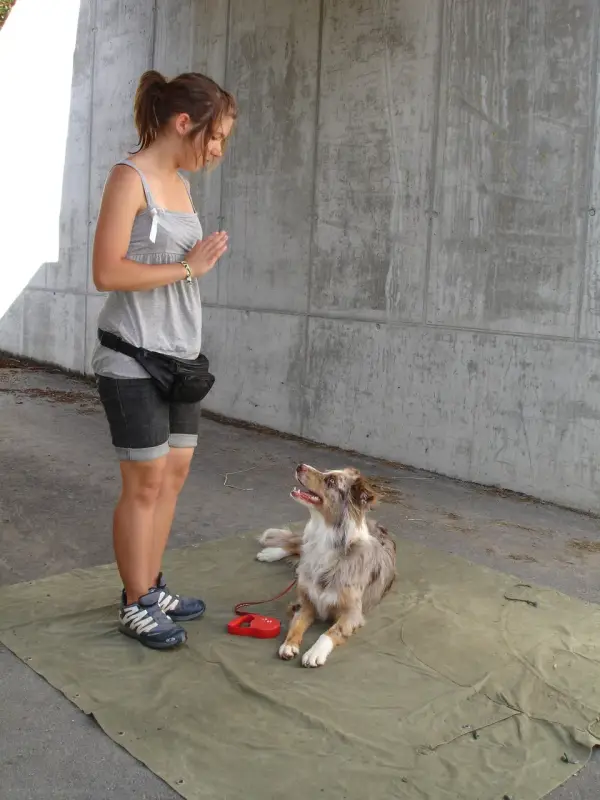 Eine Frau, die neben einem Hund auf einer grünen Matte auf dem Boden steht. Rasse: Collie. – Jugend und Hund Lager 2009 in Ruen