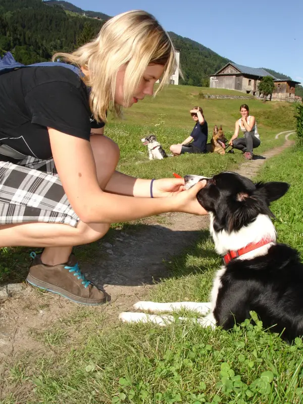 Eine Frau, die neben einem schwarz-weissen Hund auf einem Grasfeld kniet. Rasse: Border Collie. – Jugend und Hund Lager 2009 in Ruen