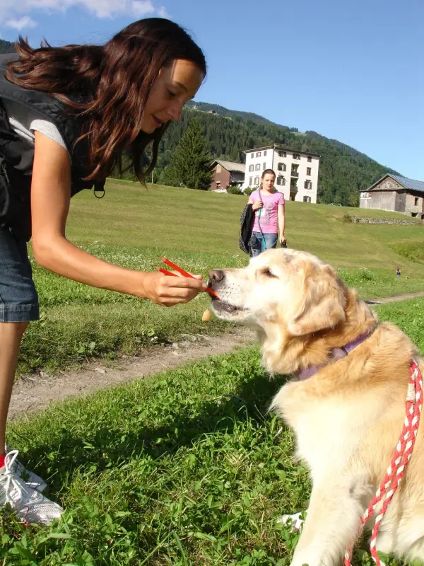 Eine Frau, die eine Tasche trägt und eine Schere in der Hand hält und einen Hund an einer Leine in einem Grasfeld… Rasse: Golden Retriever. – Jugend und Hund Lager 2009 in Ruen