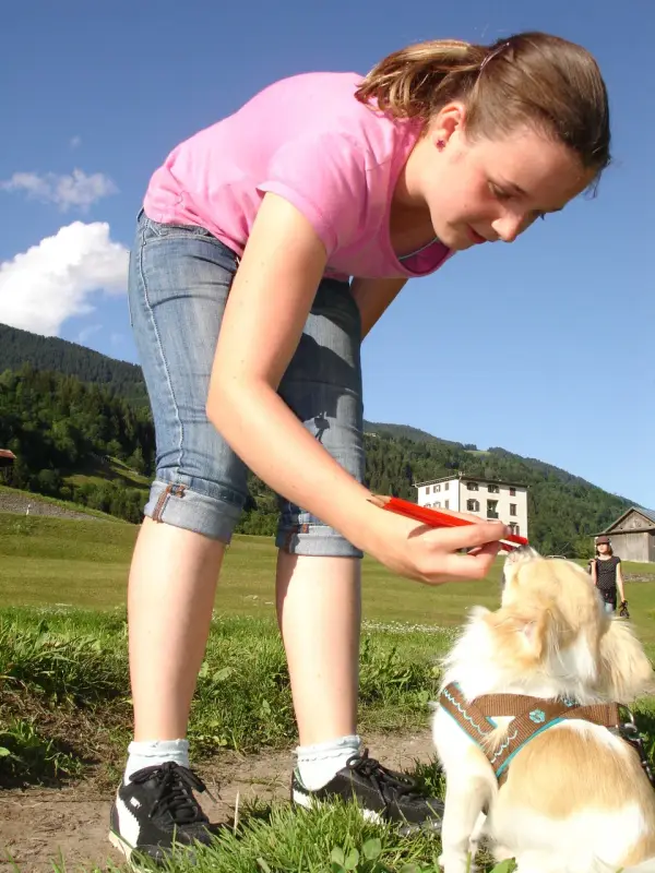 Eine Frau, die ein rosafarbenes T-Shirt und blaue Jeans trägt, ein rotes Objekt in der Hand hält und einen kleinen weissen… Rasse: Zwergspitz. – Jugend und Hund Lager 2009 in Ruen