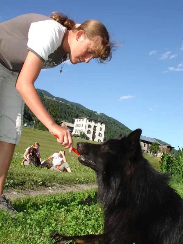 Eine Frau, die auf einem Grasfeld steht, einen Stock in der Hand hält und einen schwarzen Hund… Rasse: Belgischer Schäferhund (Groenendael). – Jugend und Hund Lager 2009 in Ruen