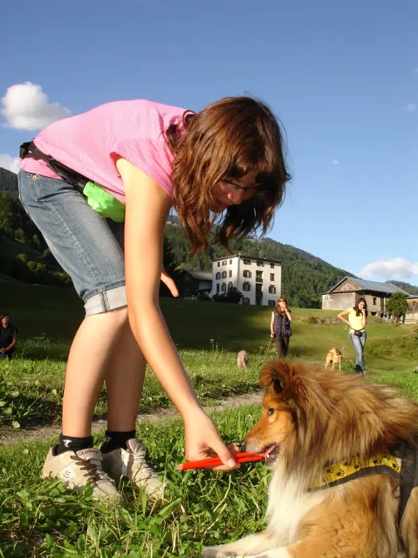 Eine Frau, die ein rosafarbenes T-Shirt, blaue Jeans und Schuhe trägt, ein rotes Objekt in der Hand hält und… Rassen: Sheltie, Toy Terrier. – Jugend und Hund Lager 2009 in Ruen