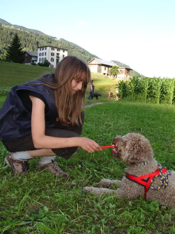 Eine Frau, die auf einem Feld mit einem Hund kniet und einen Gürtel um den Hals trägt. Rasse: Zwergpudel. – Jugend und Hund Lager 2009 in Ruen