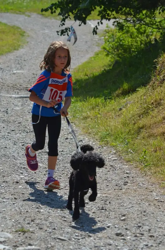 Ein kleines Mädchen zu Fuss ein Hund auf einem Feldweg. – Jugend und Hund Lager 2015 in Segnas