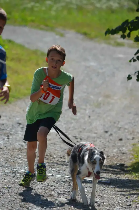 Ein Junge läuft mit einem Hund an der Leine. – Jugend und Hund Lager 2015 in Segnas