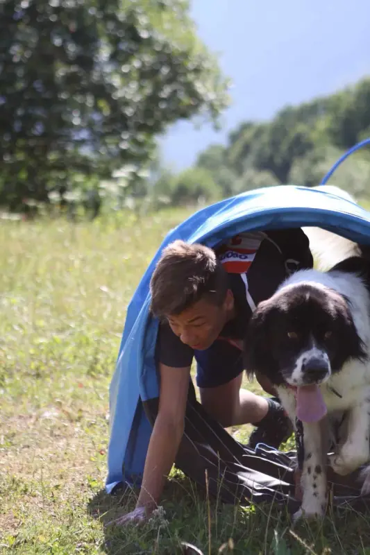 Ein Mann und ein Hund sind in einem Zelt. – Jugend und Hund Lager 2015 in Segnas