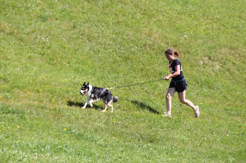 Eine Frau, die einen Hund an der Leine läuft. – Jugend und Hund Lager 2015 in Segnas