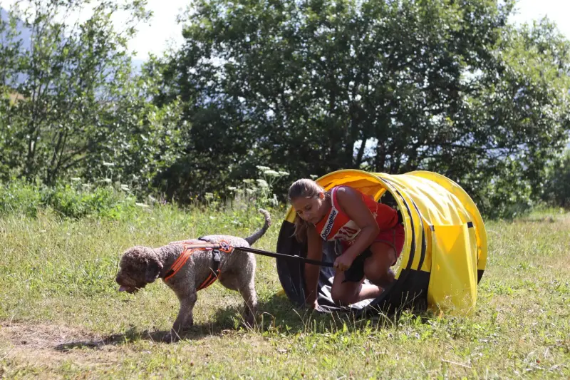 Eine Frau kniet mit einem Hund in einem Rucksack nieder. – Jugend und Hund Lager 2015 in Segnas