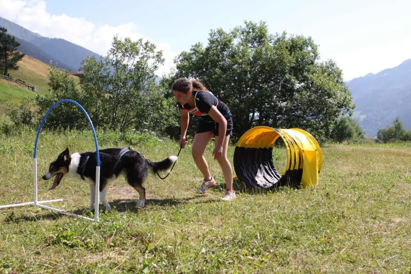 Eine Frau spielt mit ihrem Hund im Gras. – Jugend und Hund Lager 2015 in Segnas