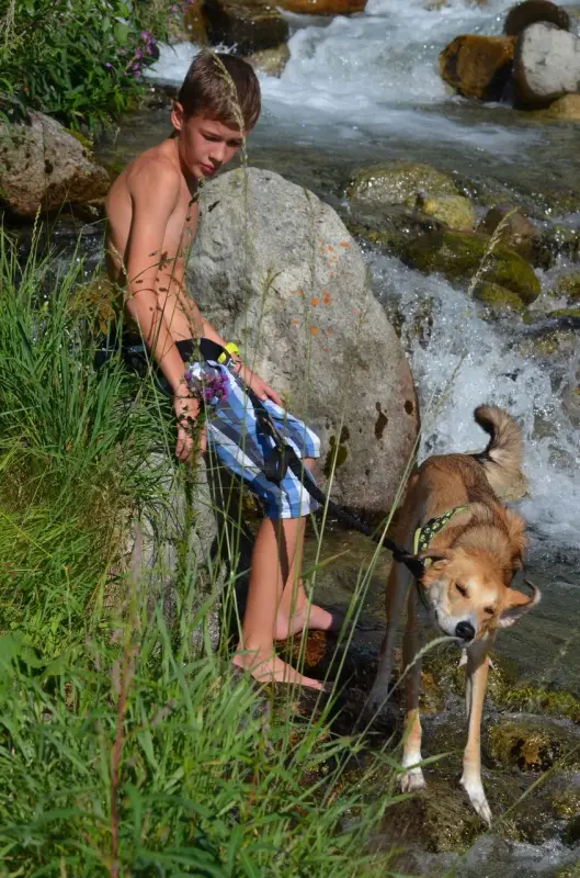 Ein Junge und sein Hund spielen im Wasser. – Jugend und Hund Lager 2015 in Segnas