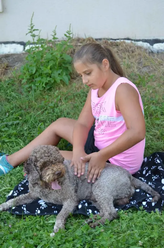 Ein Mädchen sitzt auf dem Gras mit einem Hund. – Jugend und Hund Lager 2015 in Segnas