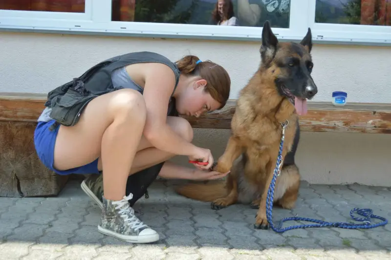 Eine Frau, die neben einem Hund kniet. – Jugend und Hund Lager 2015 in Segnas