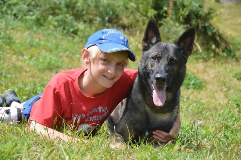 Ein Junge liegt im Gras mit einem Hund. – Jugend und Hund Lager 2015 in Segnas