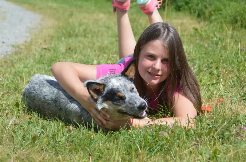 Ein Mädchen, das mit einem Hund auf dem Gras liegt. – Jugend und Hund Lager 2015 in Segnas