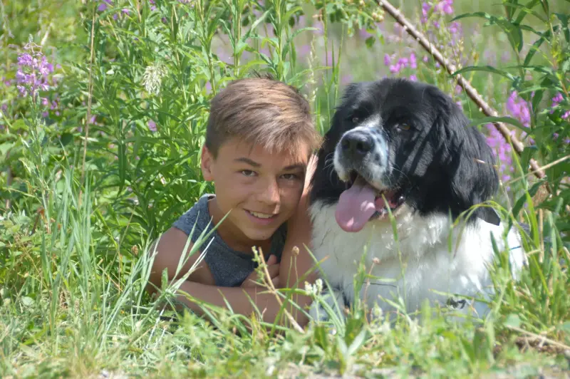 Ein Junge und ein Hund auf einem Blumenfeld. – Jugend und Hund Lager 2015 in Segnas