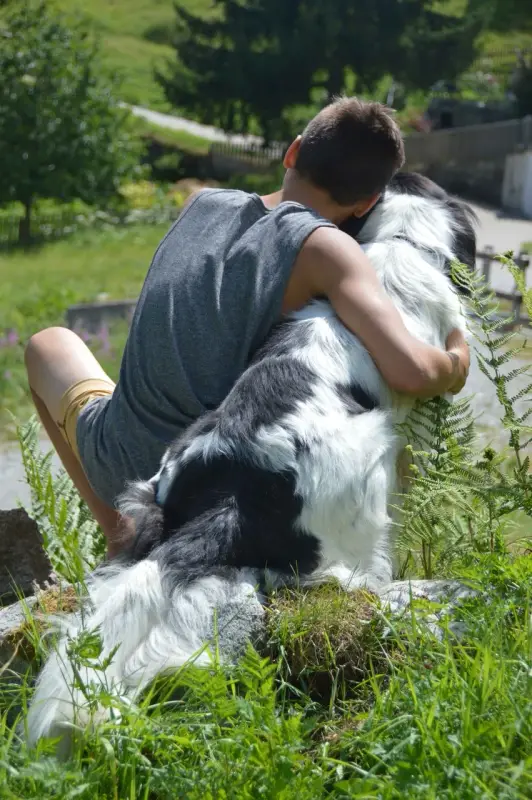 Ein Junge sitzt auf einem Felsen mit einem Hund. – Jugend und Hund Lager 2015 in Segnas