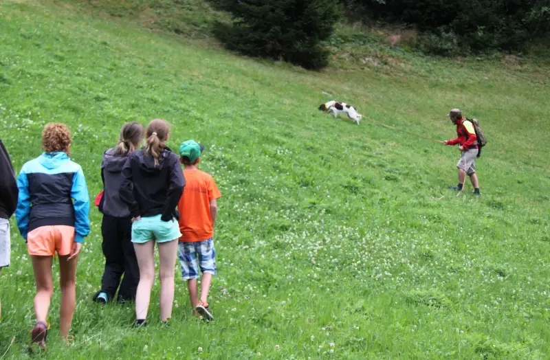 Eine Gruppe von Menschen, die durch ein Feld gehen. – Jugend und Hund Lager 2015 in Segnas
