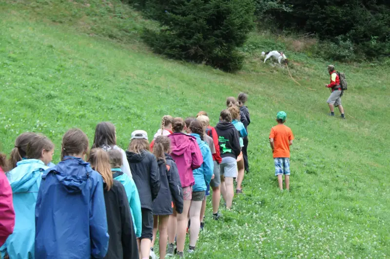 Eine Gruppe von Kindern, die einen Hügel hinuntergehen. – Jugend und Hund Lager 2015 in Segnas