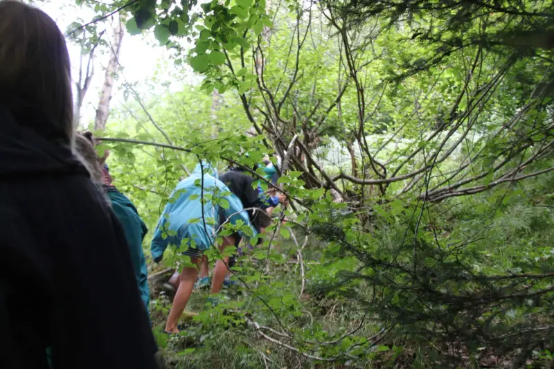Eine Gruppe von Menschen, die durch einen Wald gehen. – Jugend und Hund Lager 2015 in Segnas