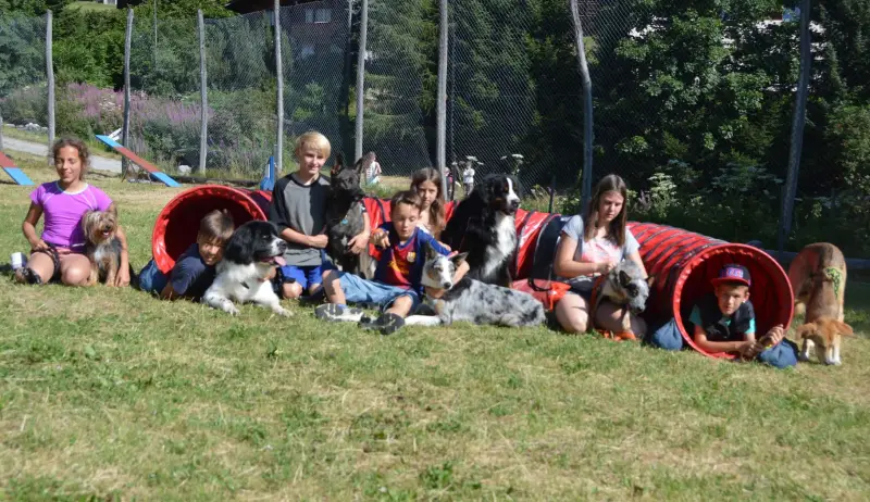Eine Gruppe von Kindern und Hunden, die auf einem Feld sitzen. – Jugend und Hund Lager 2015 in Segnas