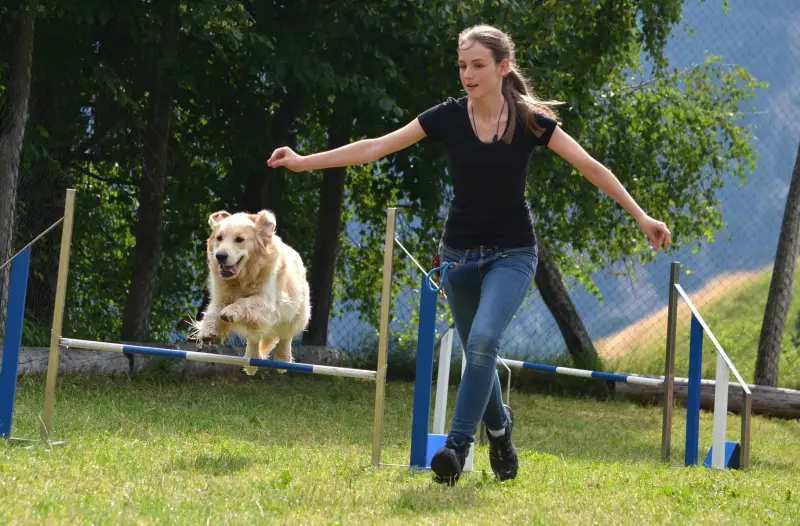 Eine Frau, die mit ihrem Hund über ein Hindernis springt, umgeben von Gras, Stangen, Zaun und Bäumen. – Jugend und Hund Lager 2015 in Segnas
