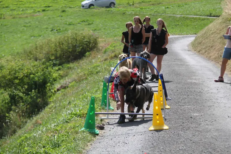 Eine Gruppe von Menschen, die eine unbefestigte Strasse hinuntergehen. – Jugend und Hund Lager 2015 in Segnas