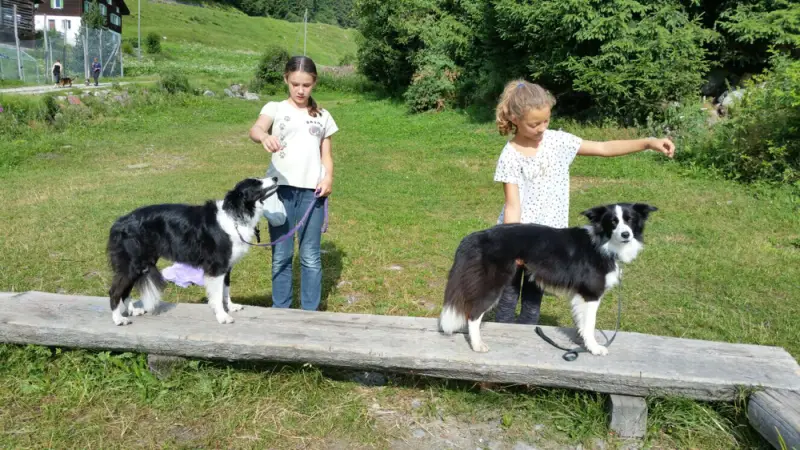 Zwei Mädchen spielen mit ihren Hunden auf einer Holzbank. – Jugend und Hund Lager 2016 in Segnas