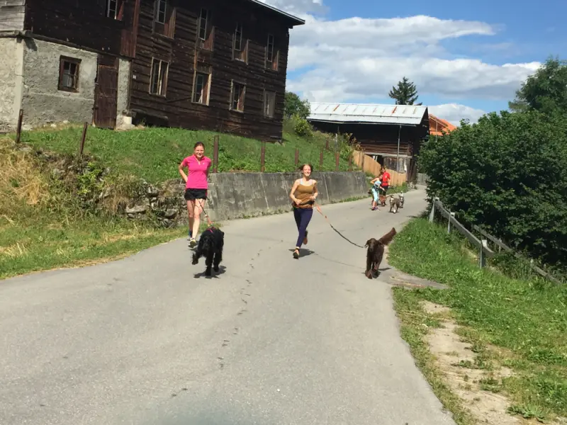Eine Frau, die einen Hund eine Strasse entlang geht. – Jugend und Hund Lager 2016 in Segnas