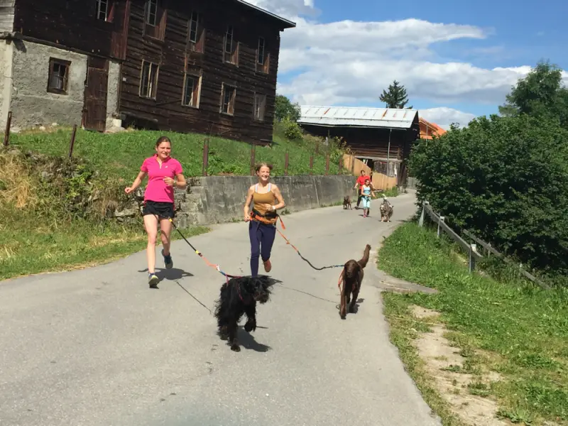 Eine Frau, die zwei Hunde eine Strasse entlang geht. – Jugend und Hund Lager 2016 in Segnas