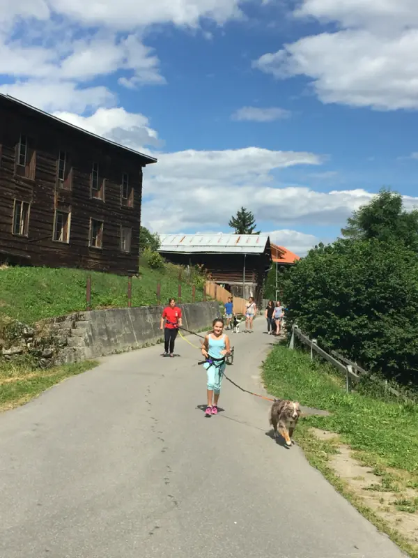 Ein junges Mädchen, das einen Hund eine Strasse entlang geht. – Jugend und Hund Lager 2016 in Segnas